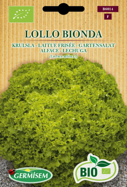 Laitue frisée Lollo Bionda