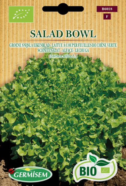 Laitue à couper feuilles de chêne verte Salad Bowl