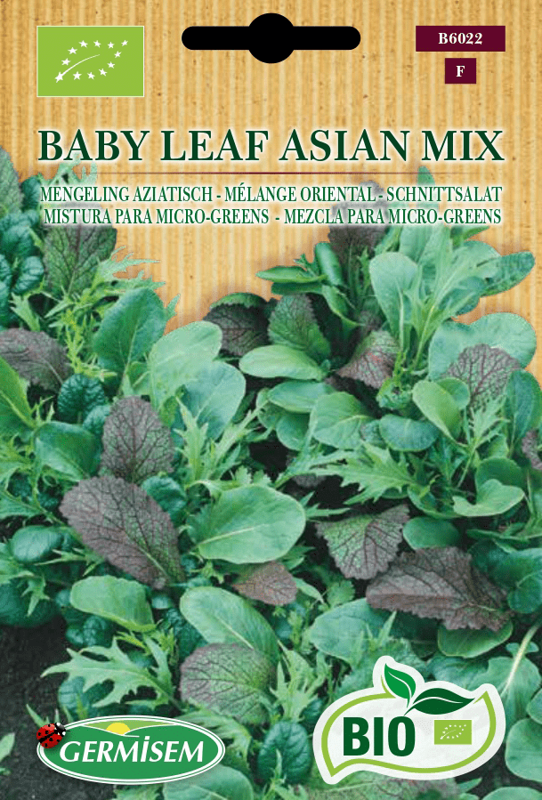 Mélange oriental Baby Leaf Asian Mix