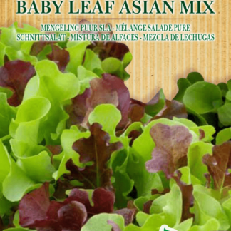 Mélange salade pure Baby Leaf Asian Mix