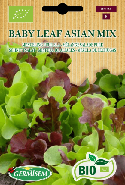 Mélange salade pure Baby Leaf Asian Mix