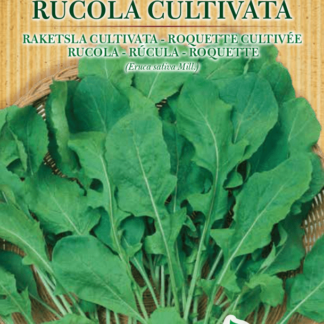 Roquette cultivée