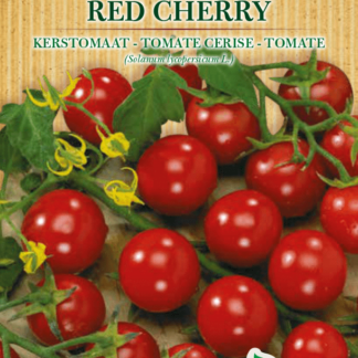 Tomate cerise Red Cherry