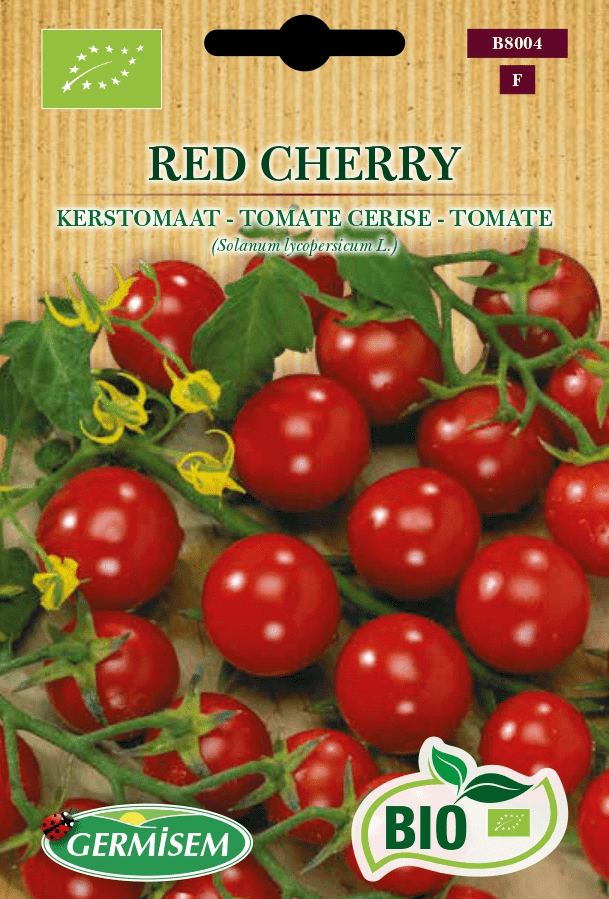 Tomate cerise Red Cherry