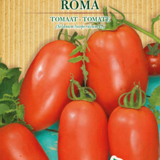 Tomate Roma