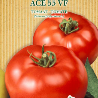 Tomate Ace 55 VF