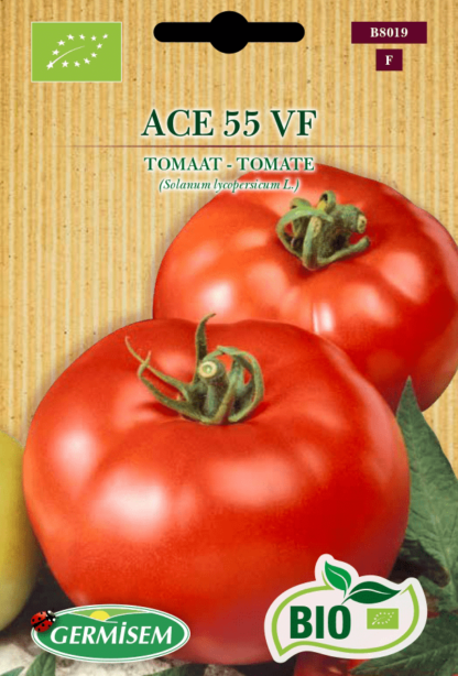 Tomate Ace 55 VF