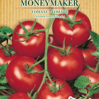 Tomate Moneymaker