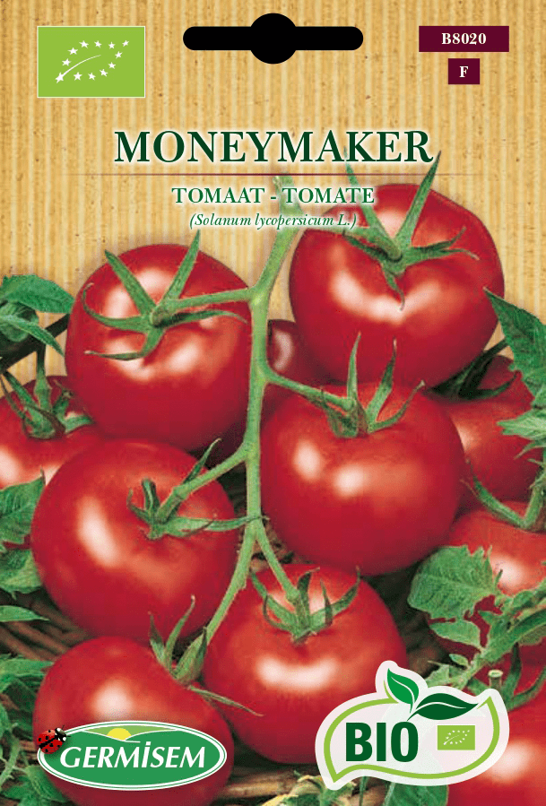 Tomate Moneymaker