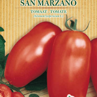 Tomate San Marzano