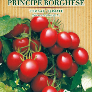 Tomate Principe Borghese