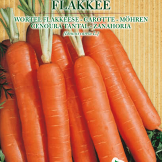 Carotte Flakkée