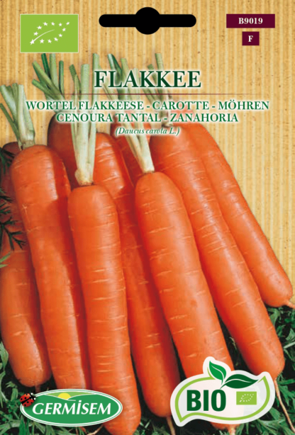 Carotte Flakkée