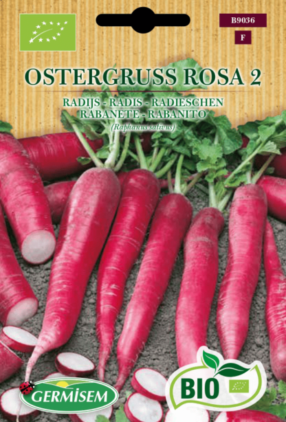 Radis Ostergruss Rosa 2