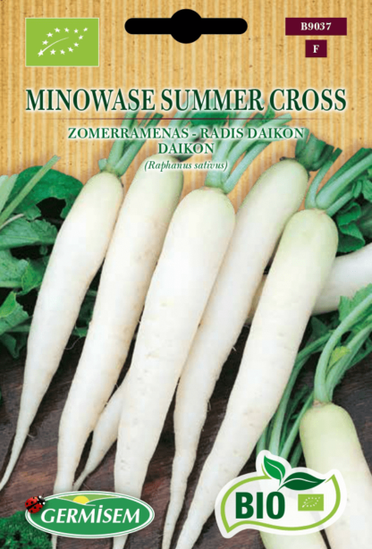 Radis daikon Minowase Summer Cross