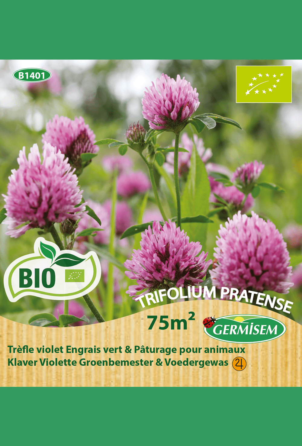 Trèfle violet - Engrais vert & Pâturage pour animaux 100m²