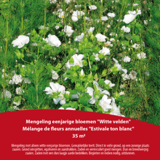 Mélange de fleurs annuelles Estivale Ton Blanc 35m²