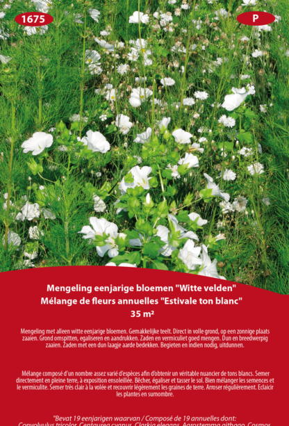 Mélange de fleurs annuelles Estivale Ton Blanc 35m²