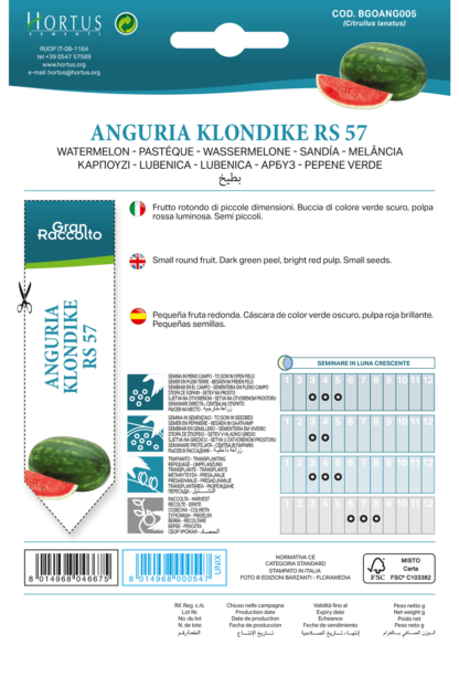 Melon d'eau (pastèque) Klondike RS 57