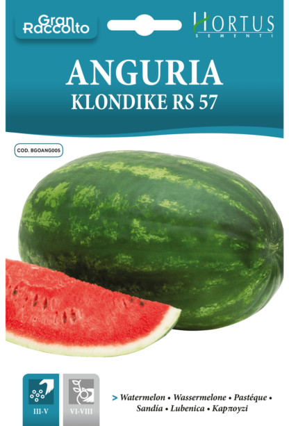 Melon d'eau (pastèque) Klondike RS 57