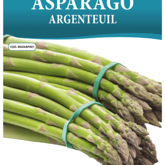 Asperge précoce d'Argenteuil