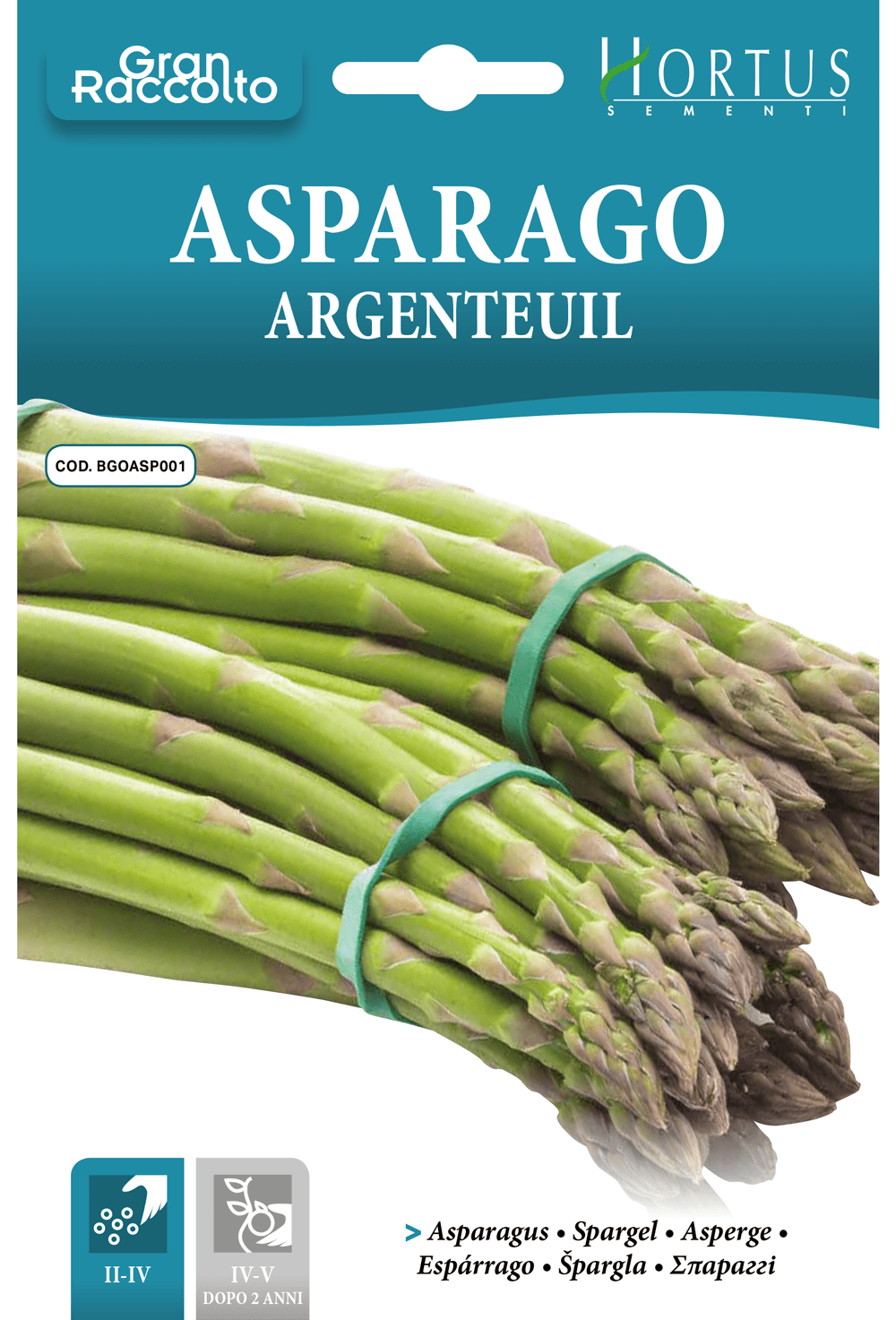 Asperge précoce d'Argenteuil