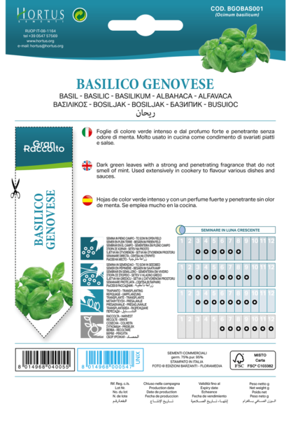 Basilic Genovese