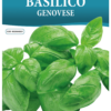 Basilic Genovese