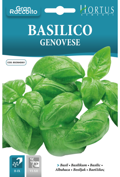 Basilic Genovese