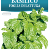 Basilic à feuilles de laitue