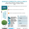 Basilic grec