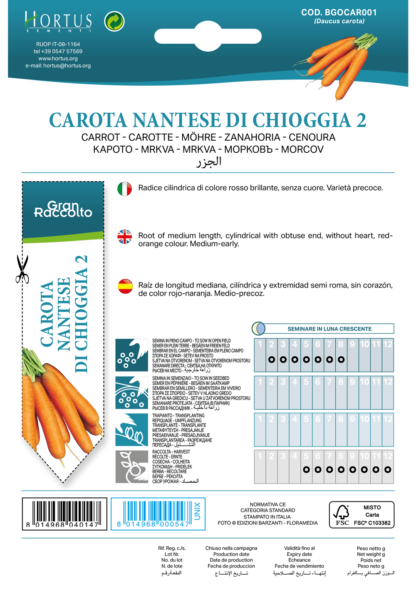 Carotte nantaise di Chioggia 2