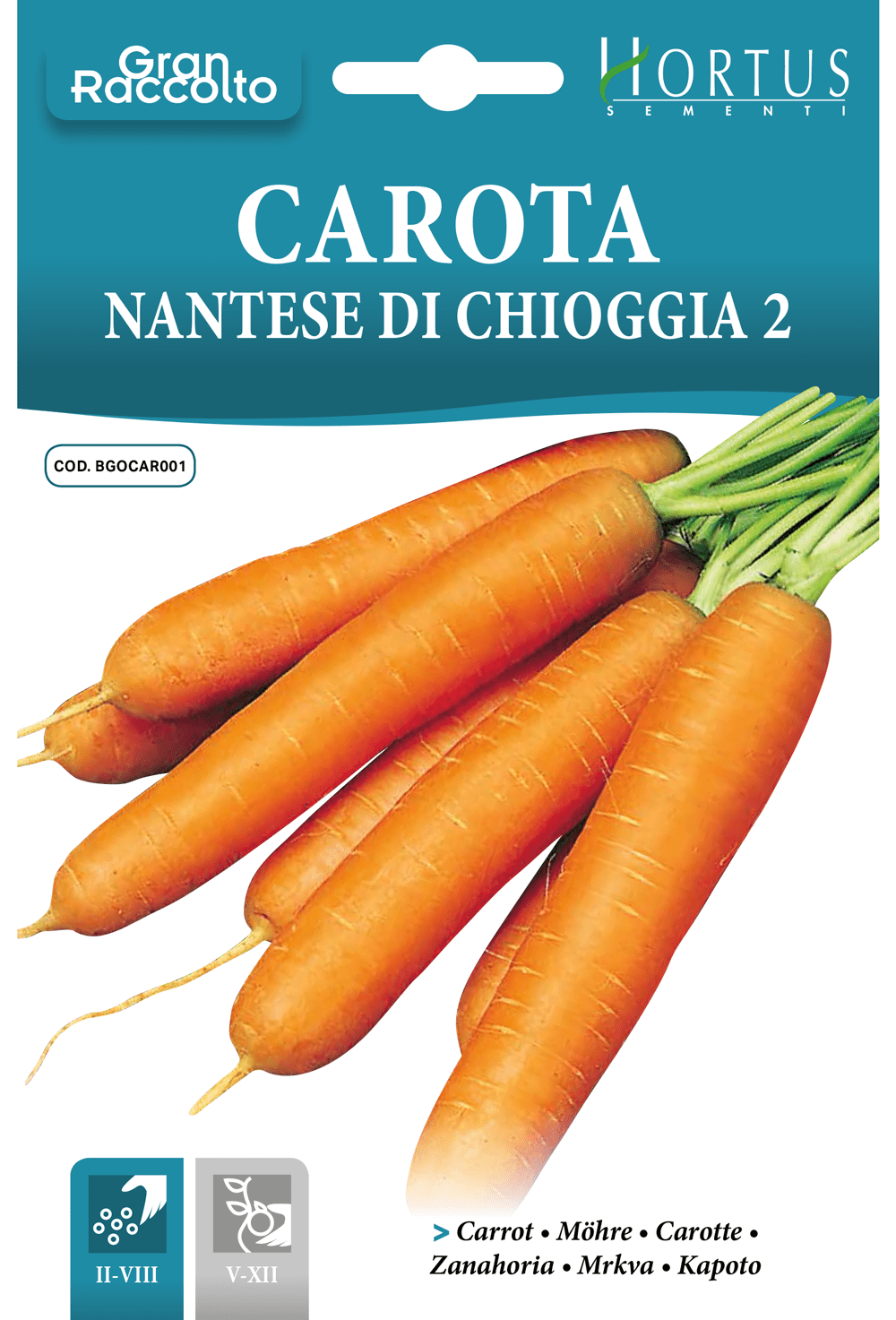 Carotte nantaise di Chioggia 2