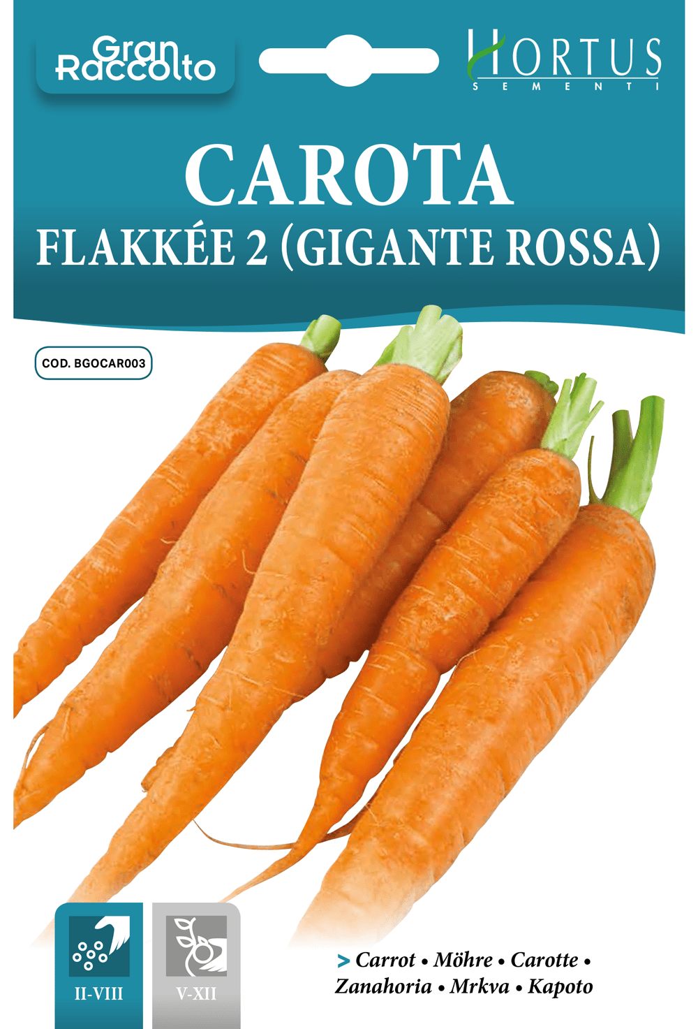 Carotte Flakkée 2