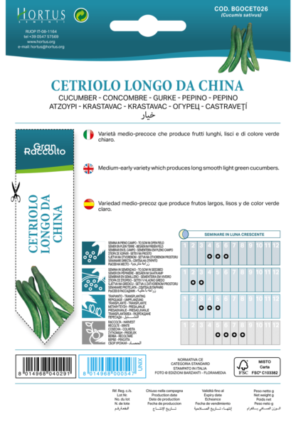 Concombre long de Chine