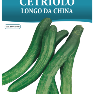 Concombre long de Chine