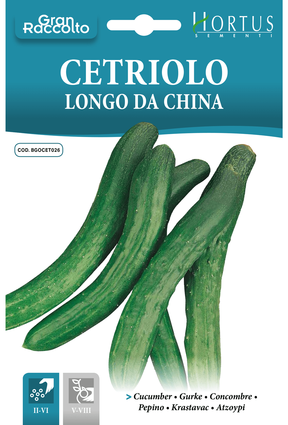 Concombre long de Chine