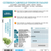 Concombre rond Carosello