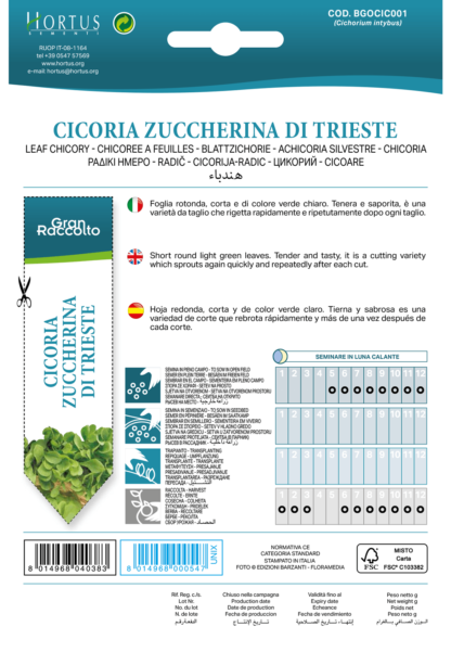 Chicorée à feuilles Zuccherina di Trieste