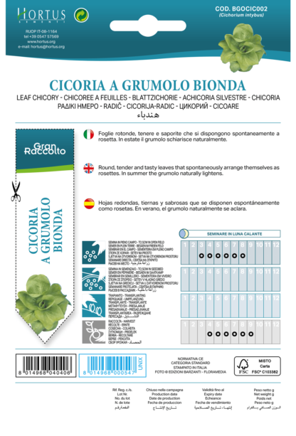 Chicorée à feuilles blondes Grumolo