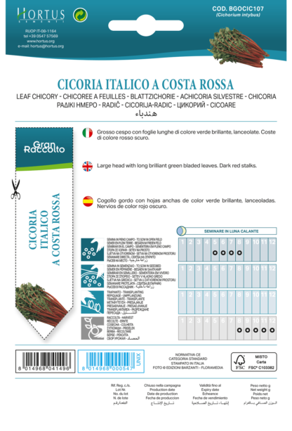 Chicorée Catalogne à côtes rouges