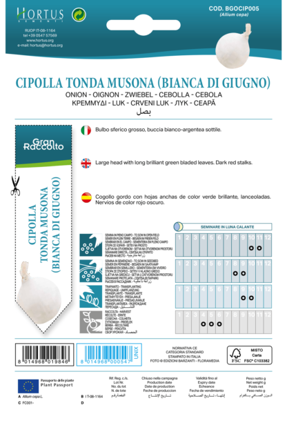 Oignon blanc di Giugno Musona