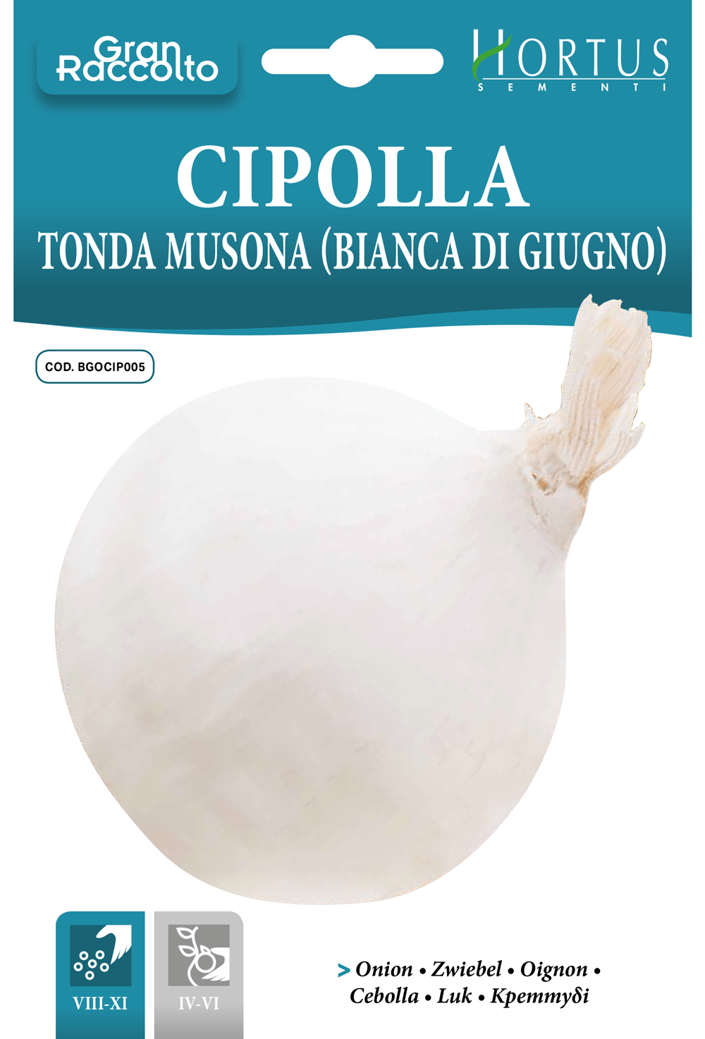 Oignon blanc di Giugno Musona