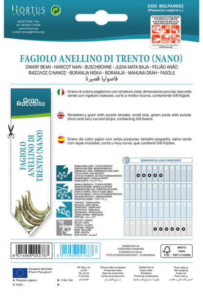 Haricot nain Anellino di Trento