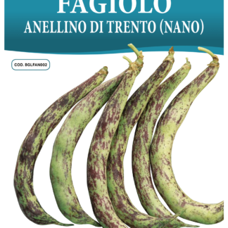 Haricot nain Anellino di Trento