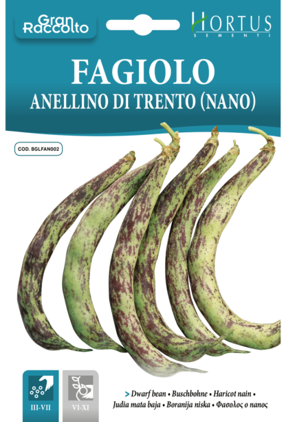 Haricot nain Anellino di Trento