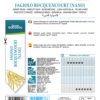 Haricot nain Rocquencourt