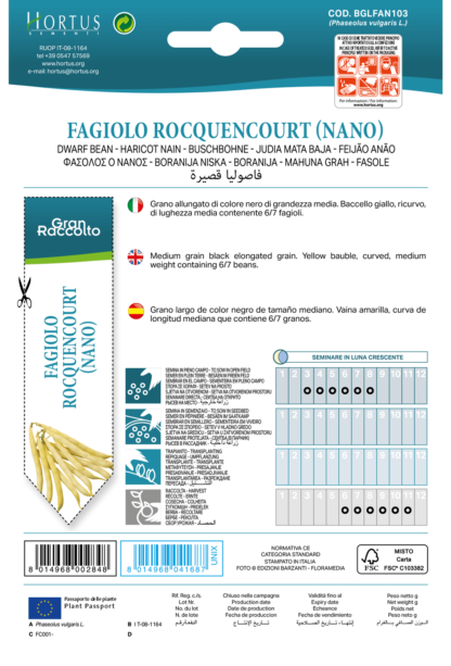 Haricot nain Rocquencourt