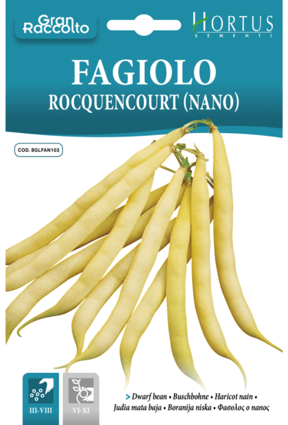 Haricot nain Rocquencourt