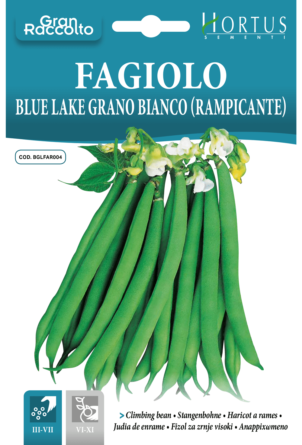 Haricot à rames Blue Lake (Grano Bianco)